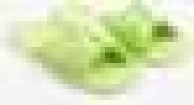 Тапочки женские, цвет салатовый, размер 40